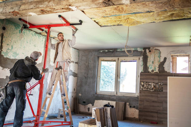 Best Wall Insulation Contractor  in Covington, TN