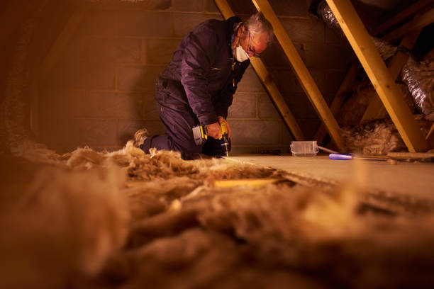 Best Garage Insulation Installation  in Covington, TN
