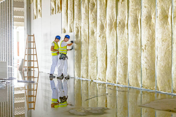 Best Local Insulation Services  in Covington, TN